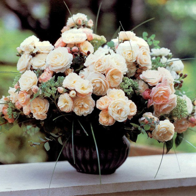 Роза "Bouquet Parfait"